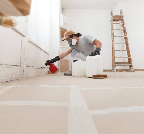 Best Environmental Consulting for Mold Prevention  in Linntown, PA